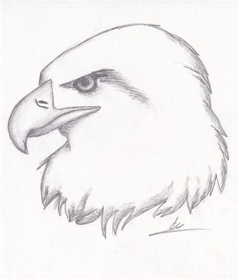 how to draw perfect animals.
